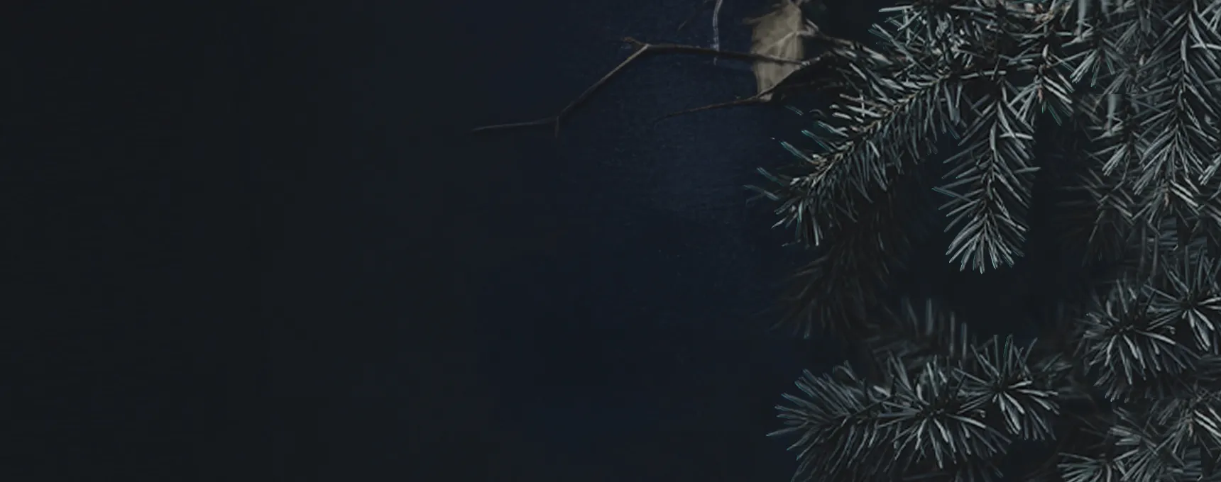 1piu1uguale3 ギフト