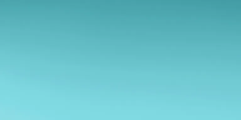 1piu1uguale324SSコレクション